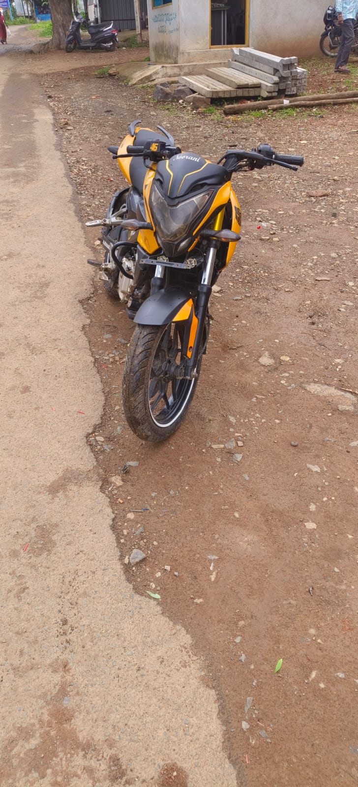 Pulsar 2013