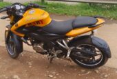 Pulsar 2013